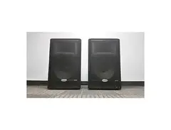 Samson RS15 HD Resound Series 2-Way 300w Passive 15" PA Speaker main image