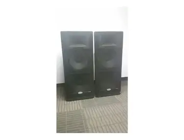 Samson RS215 HD Resound Series 2-Way 300w Passive 2x15" PA Speaker