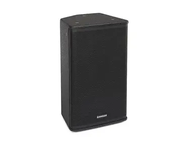 Samson RSX112 2-Way 300w Passive 12" Speaker