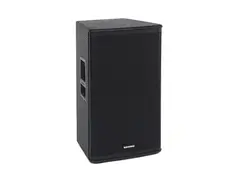 Samson RSX115 2-Way 600w Passive 15" Speaker main image