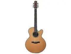 Santa Cruz Fingerstyle main image