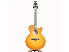 Santa Cruz FTC Model main image