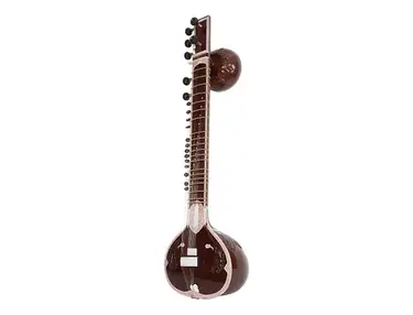 Sardar STRPSN Pro Sitar with Gig Bag