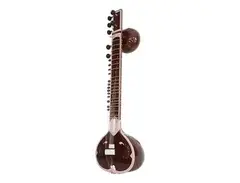 Sardar STRPSN Pro Sitar with Gig Bag main image
