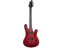 Schecter 006 main image
