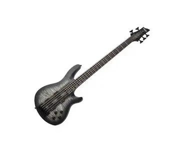Schecter C-5 GT