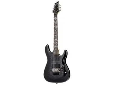 Schecter Damien Special-FR