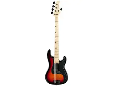 Schecter P-5