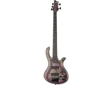 Schecter Riot-5