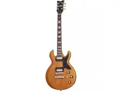 Schecter S-I main image