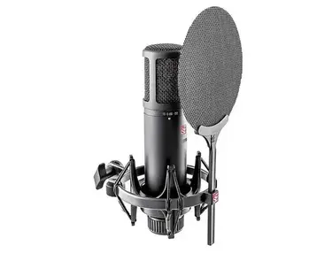 sE Electronics sE2200 Large Diaphragm Cardioid Condenser Microphone