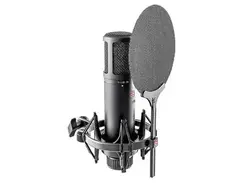 sE Electronics sE2200 Large Diaphragm Cardioid Condenser Microphone