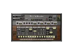 Applied Acoustics Systems String Studio VS-2