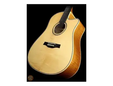 Seagull Artist Cameo CW QII