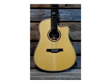 Seagull Artist Studio CW QII