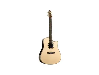 Seagull Artist Cameo CW QII - What To Know & Where To Buy | Equipboard