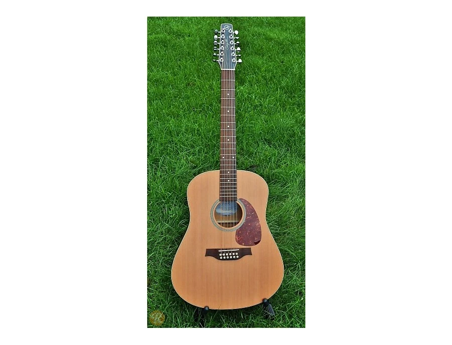 Seagull Coastline S12 Cedar QI - What To Know & Where To Buy