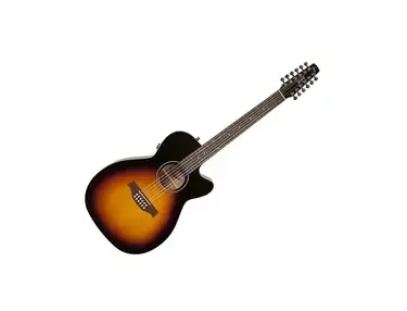 Seagull Coastline S12 Cutaway Concert Hall Spruce QIT