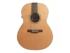Seagull Coastline S6 Folk Cedar main image