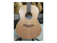 Seagull Coastline S6 Folk Cedar QI main image