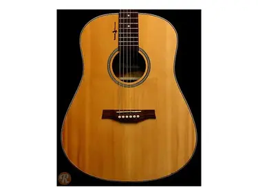 Seagull Elements Dreadnaught