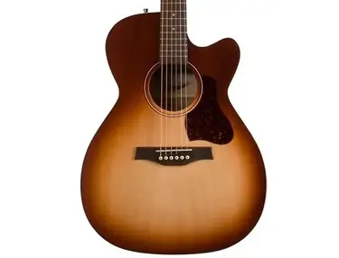Seagull Entourage Concert Hall CH CW with Electronics