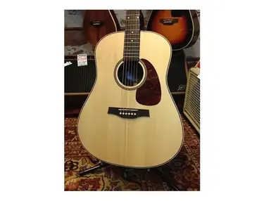 Seagull Maritime SWS SG QI