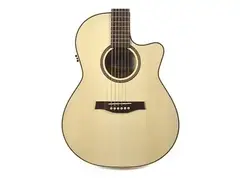Seagull Performer CW Folk QI Acoustic/Electric Guitar main image