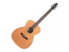 Seagull S6 Cedar Concert Hall main image