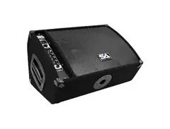 Seismic Audio FL-10MP-PW Powered 1x10" 2-Way 250w Floor Monitor Wedge Speaker main image