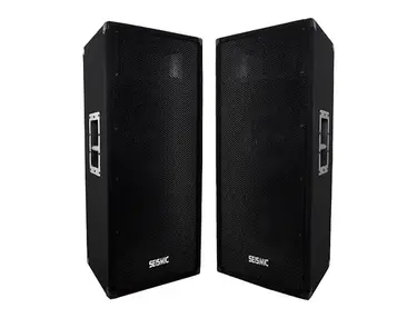 Seismic Audio FL-122P Passive 2x12" 700w Speakers (Pair)