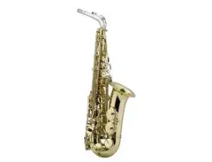 Selmer 42 Warburton Edition Professional Eb Alto Saxophone main image