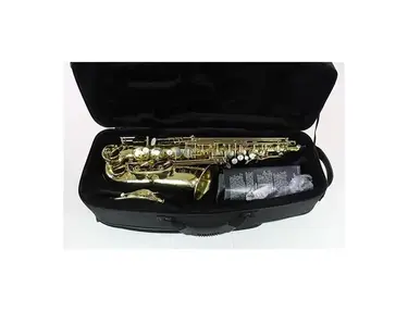 Selmer 62JM Paris Series III Jubilee Edition Professional Model Eb Alto Saxophone