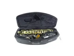 Selmer 64JBL Paris Series III Jubilee Edition Professional Model Bb Tenor Saxophone main image