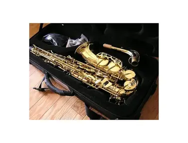 Selmer AS42 Professional Model Eb Alto Saxophone
