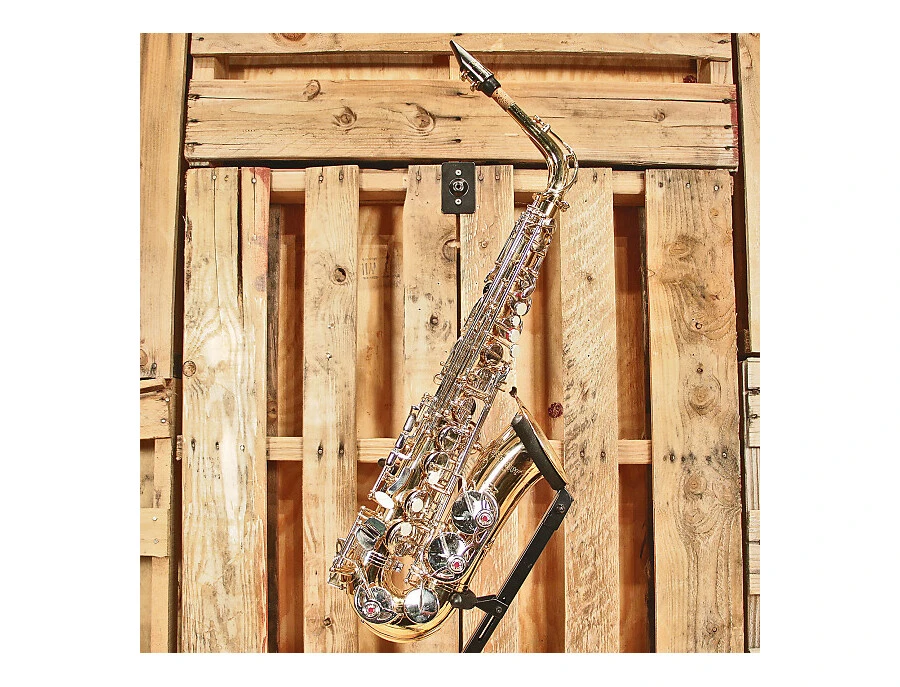 Selmer AS500 Student Model Alto Saxophone - What To Know & Where Selmer AS500 Student Model Alto Saxophone - What To Know & Where
