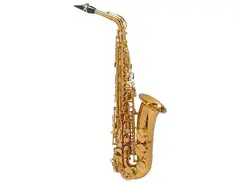 Selmer Paris 92DL Supreme Eb Alto Saxophone main image