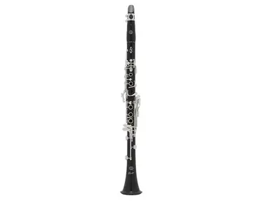 Selmer Paris A16PR2 Privilege A Clarinet