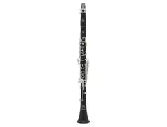 Selmer Paris A16PR2 Privilege A Clarinet main image