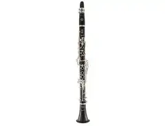 Selmer Paris B16 Muse Bb Clarinet main image