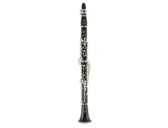 Selmer Paris B1610R Recital Evolution Bb Clarinet main image