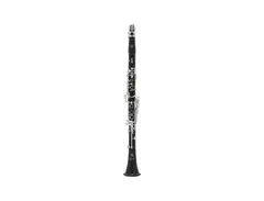 Selmer Paris B16PR2 Privilege Bb Clarinet main image