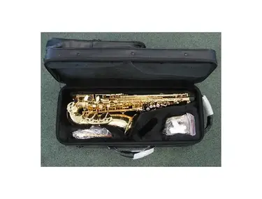 Selmer SAS280R LaVoix II Step-Up Model Alto Saxophone