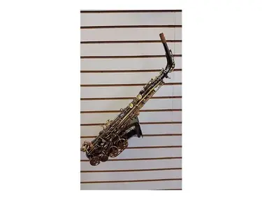 Selmer SAS280RB LaVoix II Step-Up Model Alto Saxophone