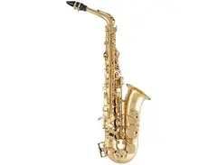 Selmer SAS411 Intermediate Alto Saxophone main image
