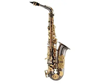 Selmer SAS511B Advanced Eb Alto Saxophone