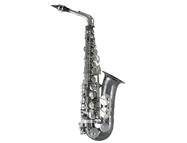 Selmer SAS711B Professional Alto Saxophone