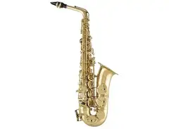 Selmer SAS711S Professional Alto Saxophone main image