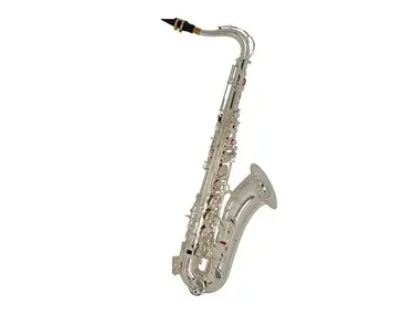 Selmer TS500S Student Model Tenor Saxophone