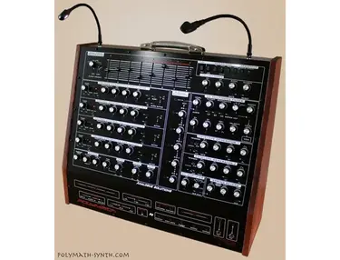 Analogue Solutions Polymath